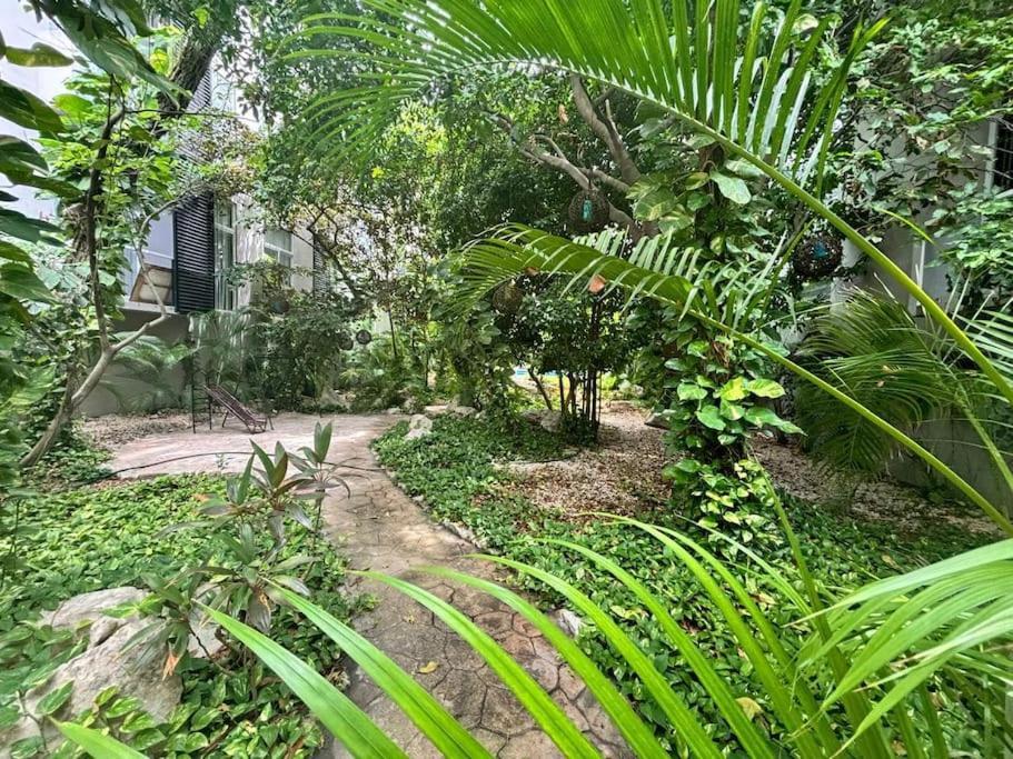 Depa En Centro Apartamento